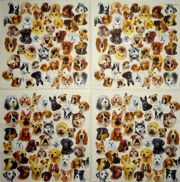 HUN-766 Hunde - 3-lagig - Ambiente